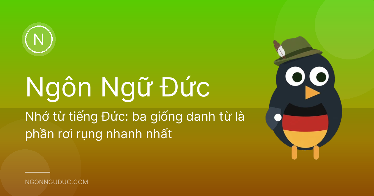 Nhớ từ tiếng Đức: ba giống danh từ là phần rơi rụng nhanh nhất