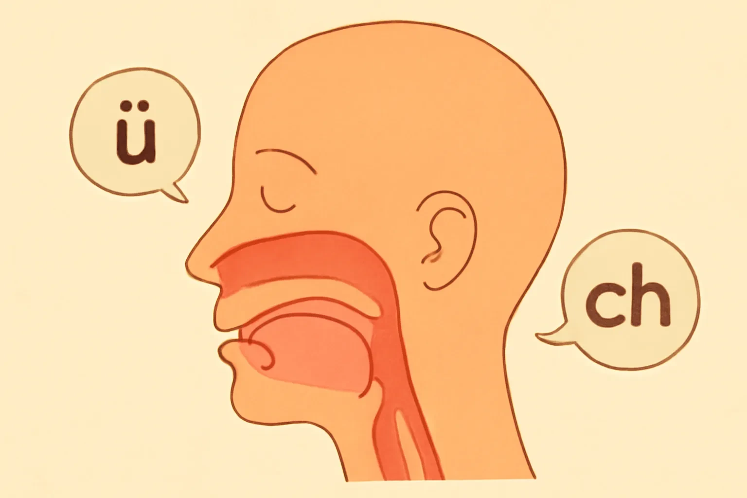 Phát âm tiếng Đức: Bảy âm khó nhất mà người Việt thường mắc phải